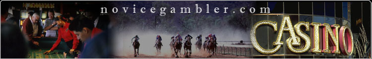 Novice Gambler - the # 1 source of free gambling information for beginners